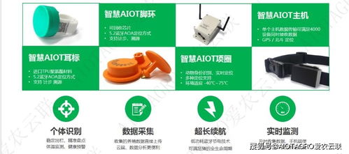 农业物联网助力智能畜禽养殖系统 养殖设备如何有效提高养殖效率